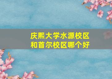 庆熙大学水源校区和首尔校区哪个好