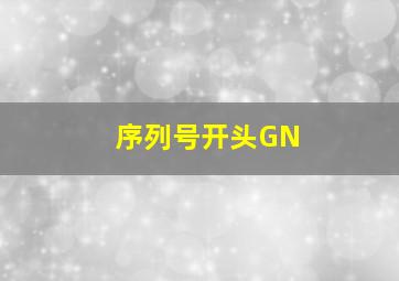 序列号开头GN