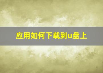 应用如何下载到u盘上