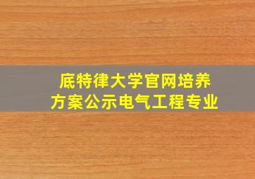 底特律大学官网培养方案公示电气工程专业