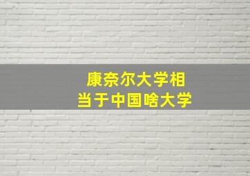 康奈尔大学相当于中国啥大学