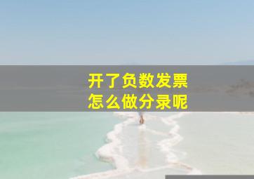 开了负数发票怎么做分录呢