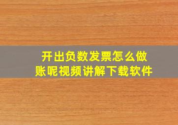 开出负数发票怎么做账呢视频讲解下载软件