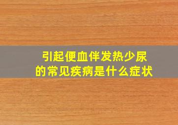 引起便血伴发热少尿的常见疾病是什么症状