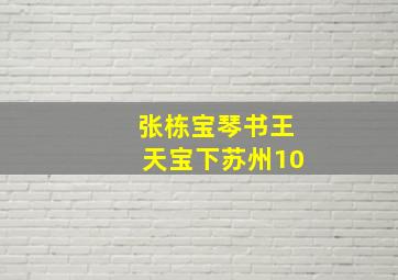 张栋宝琴书王天宝下苏州10