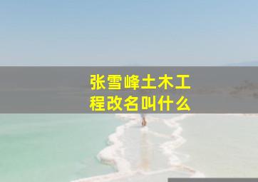 张雪峰土木工程改名叫什么