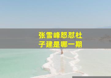 张雪峰怒怼杜子建是哪一期