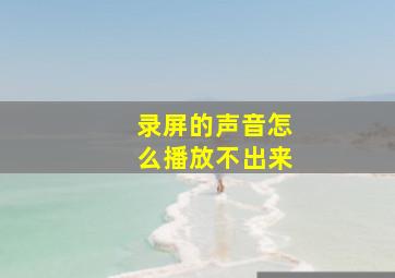 录屏的声音怎么播放不出来