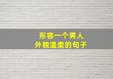 形容一个男人外貌温柔的句子