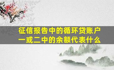 征信报告中的循环贷账户一或二中的余额代表什么