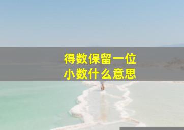 得数保留一位小数什么意思