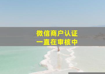 微信商户认证一直在审核中