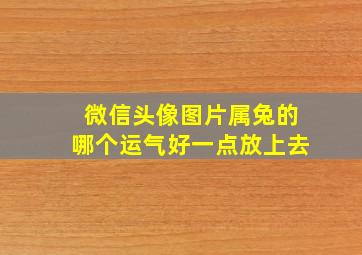 微信头像图片属兔的哪个运气好一点放上去