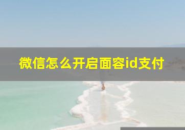 微信怎么开启面容id支付