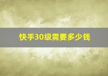 快手30级需要多少钱