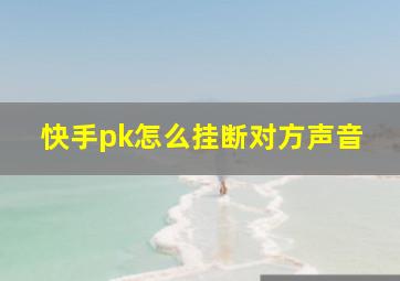 快手pk怎么挂断对方声音