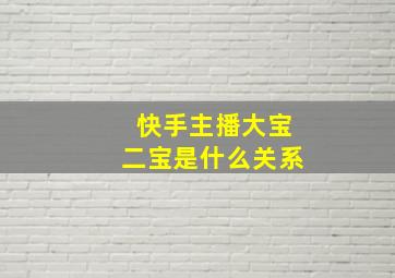 快手主播大宝二宝是什么关系