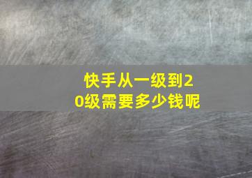 快手从一级到20级需要多少钱呢