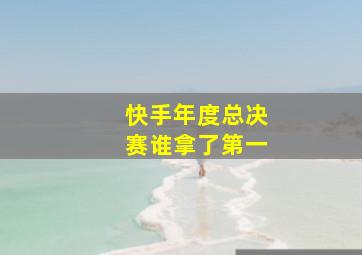 快手年度总决赛谁拿了第一