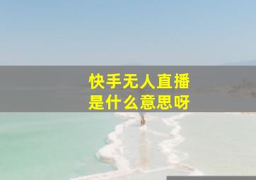 快手无人直播是什么意思呀