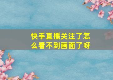 快手直播关注了怎么看不到画面了呀