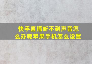 快手直播听不到声音怎么办呢苹果手机怎么设置