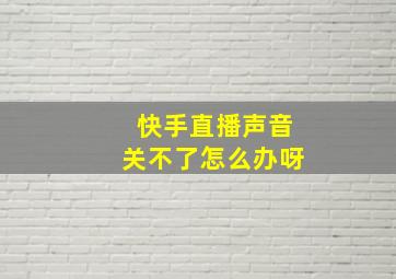 快手直播声音关不了怎么办呀