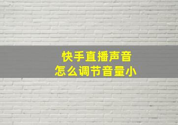 快手直播声音怎么调节音量小