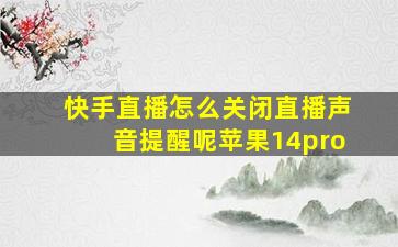 快手直播怎么关闭直播声音提醒呢苹果14pro