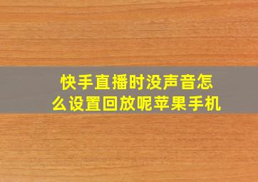 快手直播时没声音怎么设置回放呢苹果手机