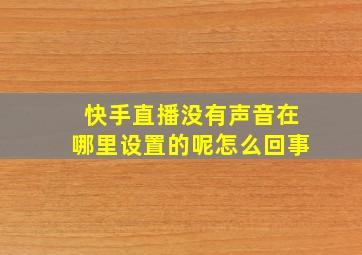 快手直播没有声音在哪里设置的呢怎么回事