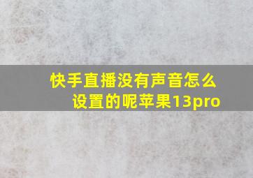 快手直播没有声音怎么设置的呢苹果13pro