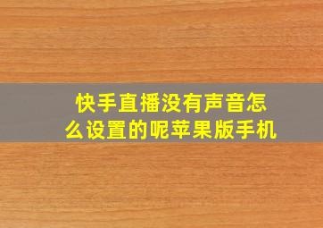 快手直播没有声音怎么设置的呢苹果版手机