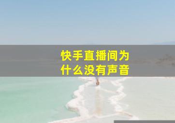 快手直播间为什么没有声音