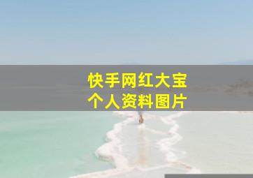 快手网红大宝个人资料图片