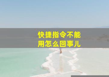 快捷指令不能用怎么回事儿