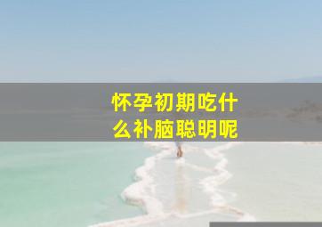 怀孕初期吃什么补脑聪明呢