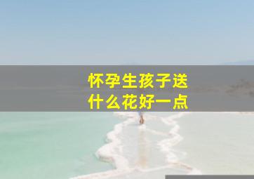 怀孕生孩子送什么花好一点