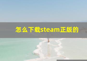 怎么下载steam正版的