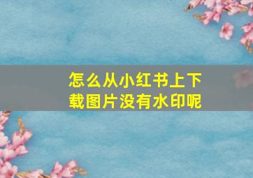 怎么从小红书上下载图片没有水印呢