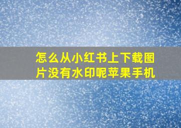 怎么从小红书上下载图片没有水印呢苹果手机