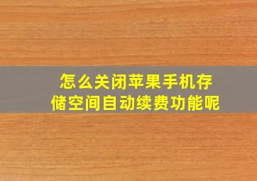 怎么关闭苹果手机存储空间自动续费功能呢