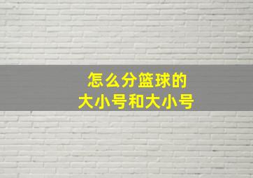 怎么分篮球的大小号和大小号