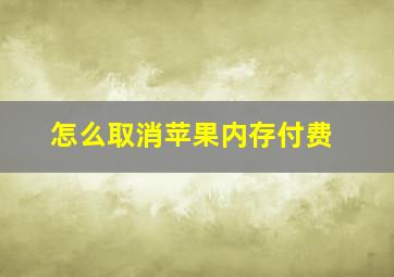 怎么取消苹果内存付费