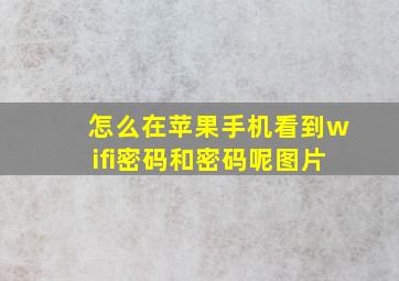 怎么在苹果手机看到wifi密码和密码呢图片