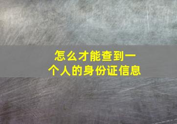 怎么才能查到一个人的身份证信息