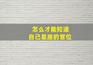 怎么才能知道自己星座的宫位