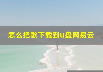 怎么把歌下载到u盘网易云