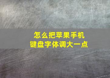 怎么把苹果手机键盘字体调大一点