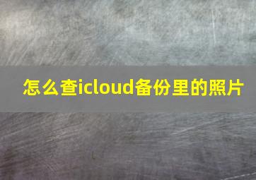 怎么查icloud备份里的照片